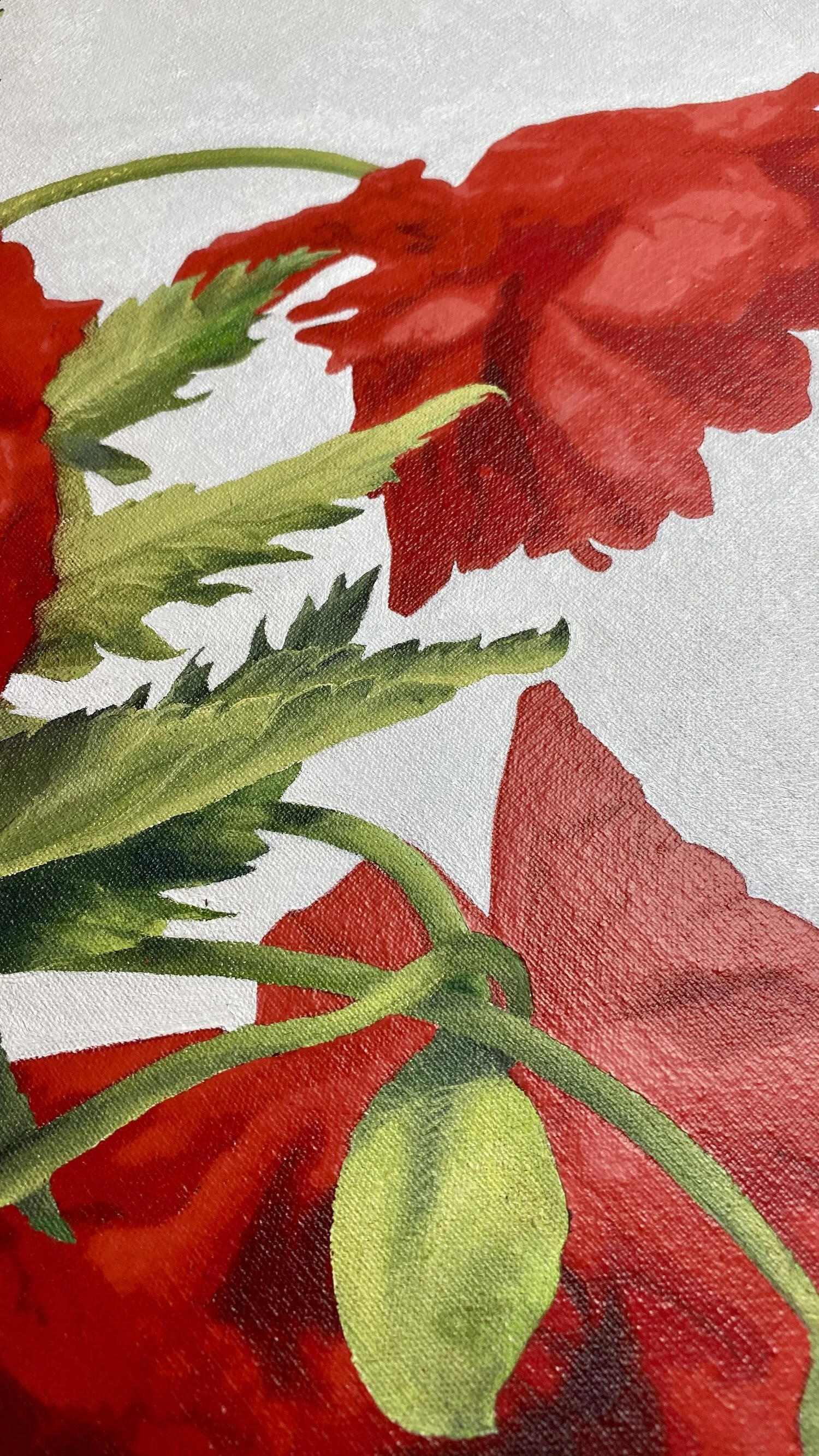 POPPIES 4.jpg