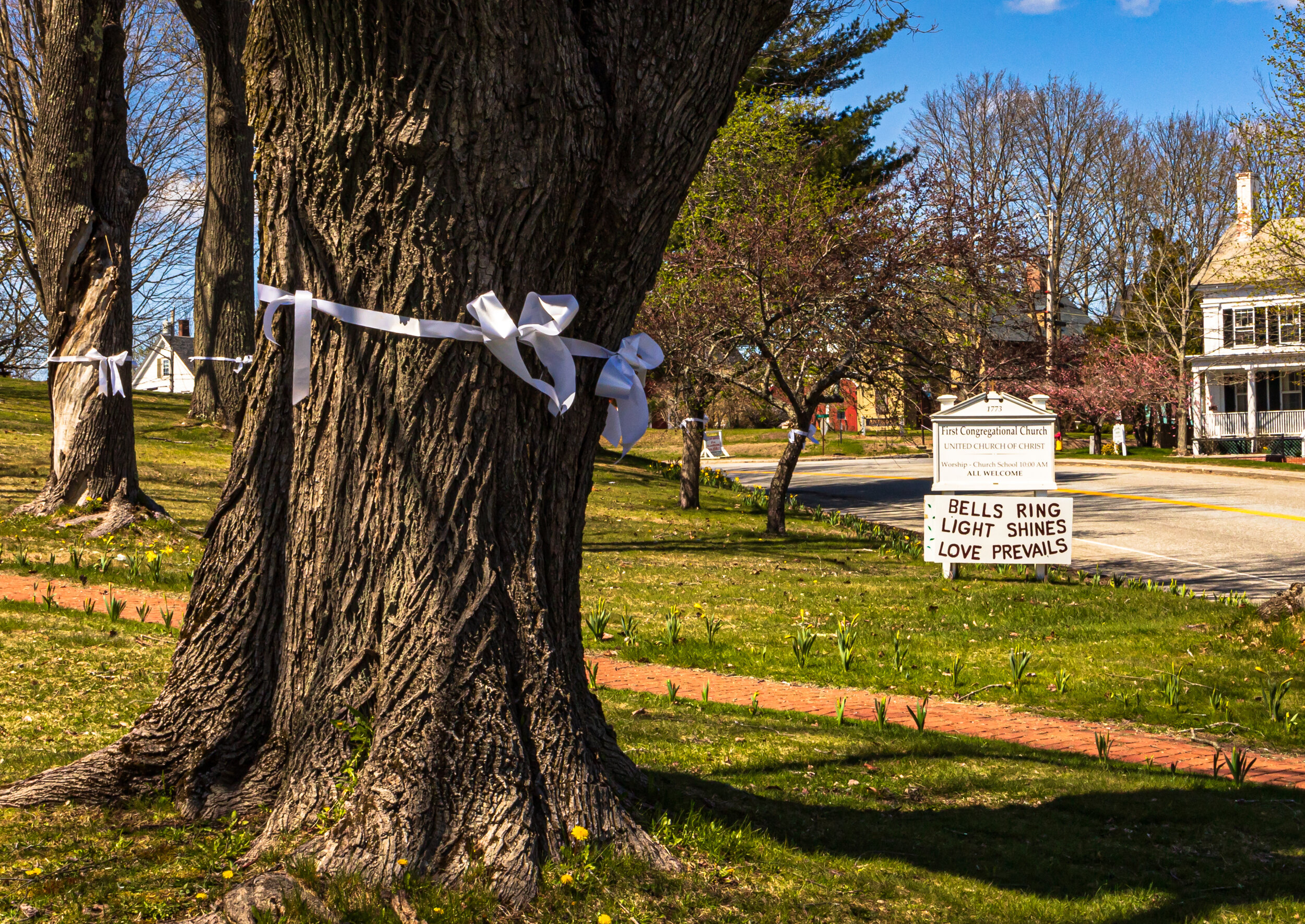 White Ribbons on Trees in Wiscassett, Maine-May 2020.jpg