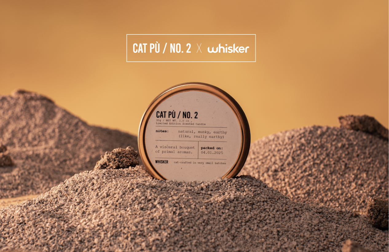 Screenshot 2025-04-11 at 11.00.09 AM.png