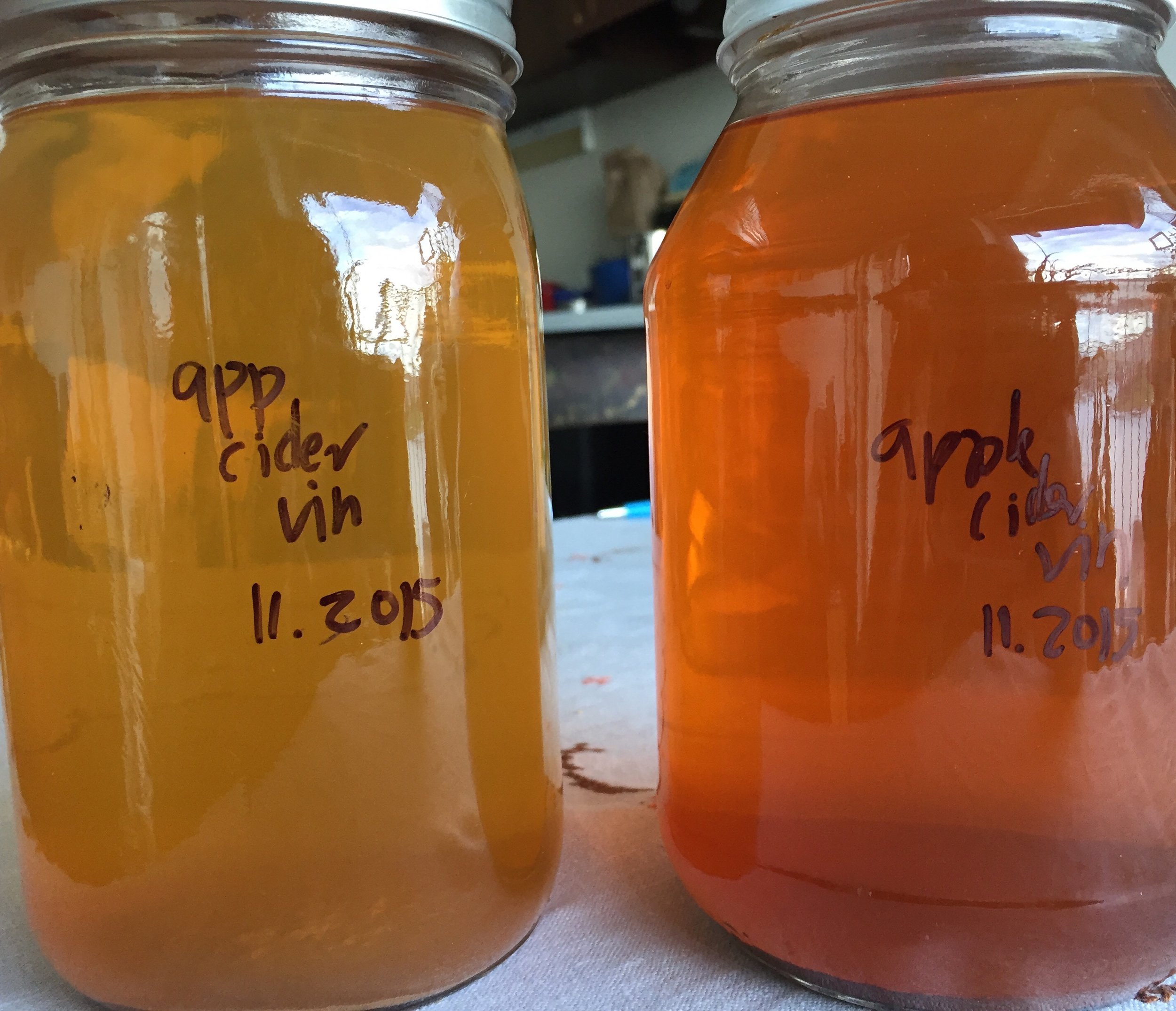 HOW TO :: Homemade Apple Cider Vinegar — amy pennington