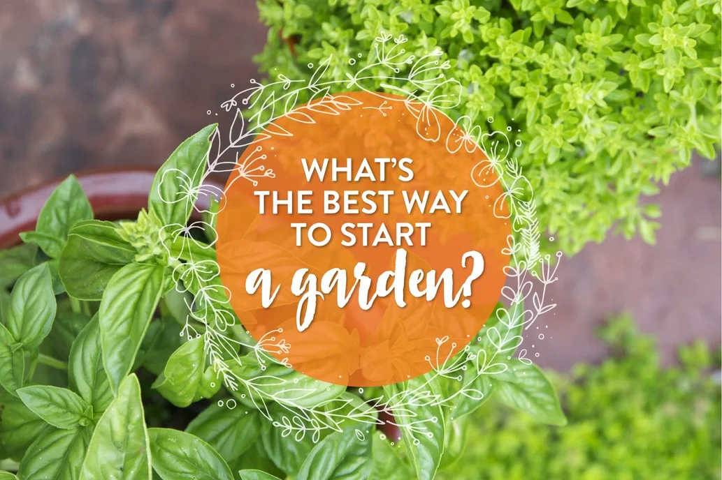 best way to start a garden copy.jpg