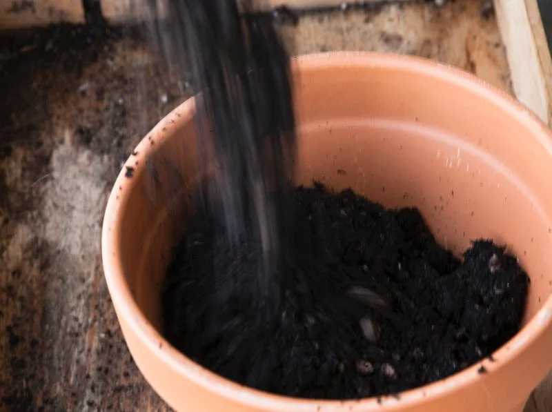pouring soil.jpg