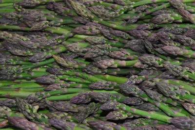 being-green1.jpg
