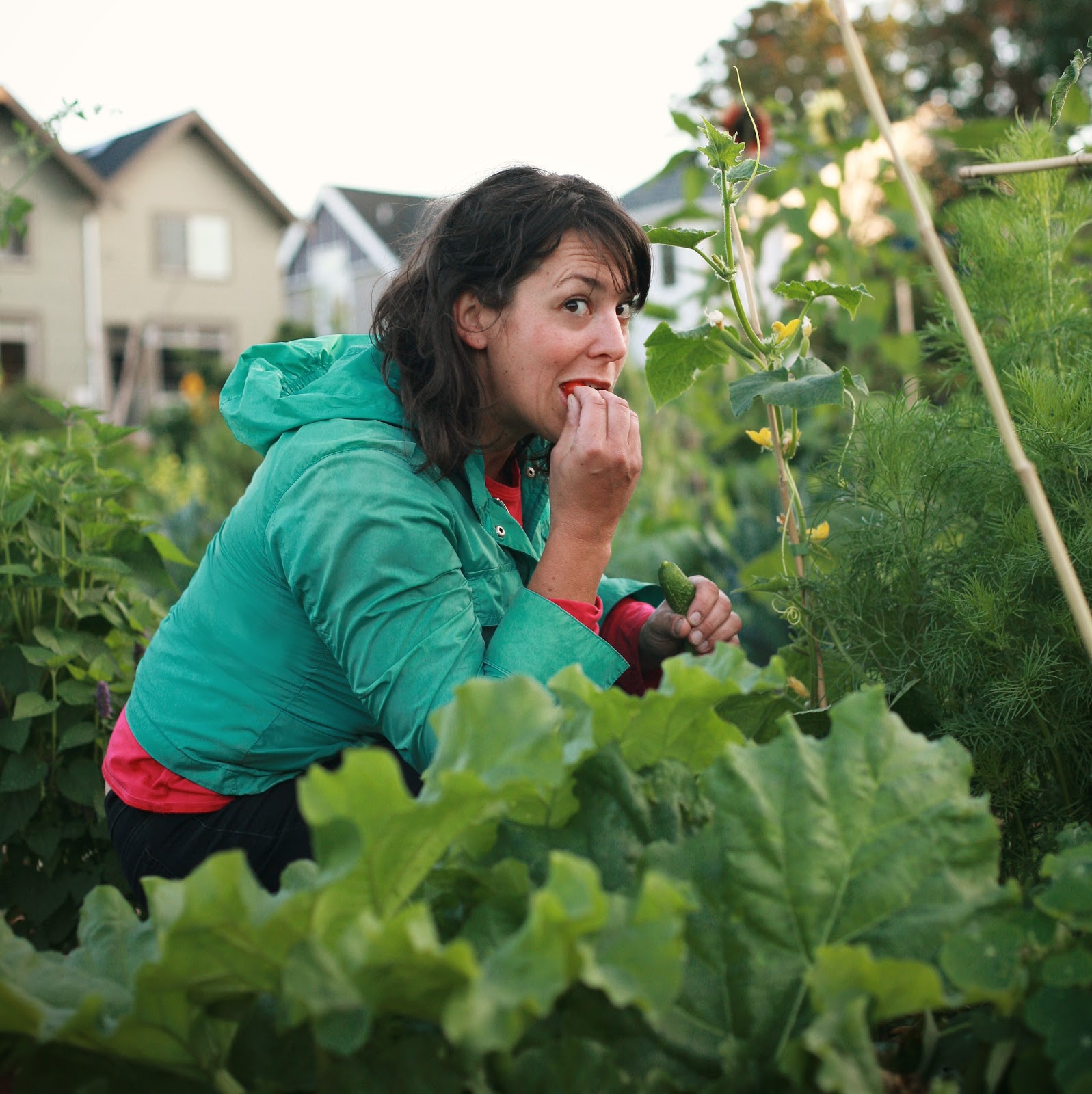 Author pic, Sept 2010.jpg
