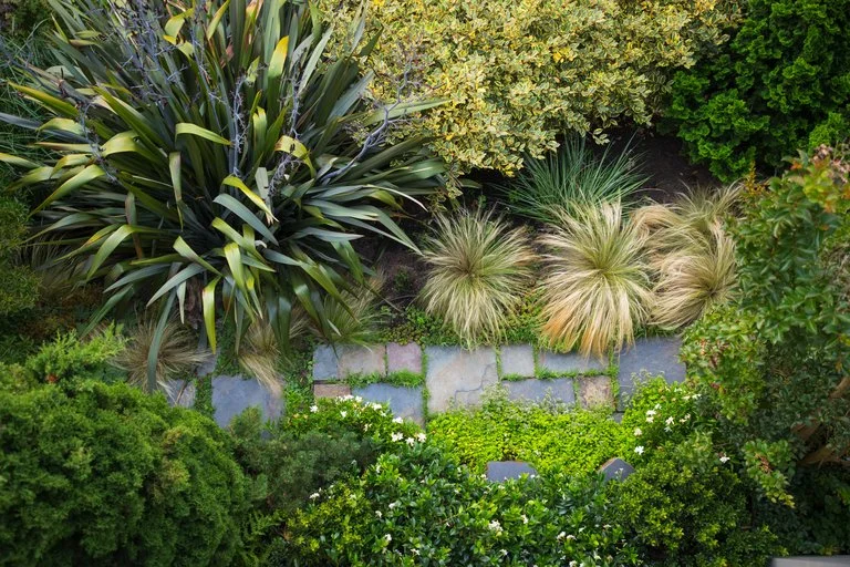 Looking down from an upper-level deck at a stone walkway and plantings at Carl Williams and Daniel Lowery’s West Seattle home. (Mike Siegel / The Seattle Times)