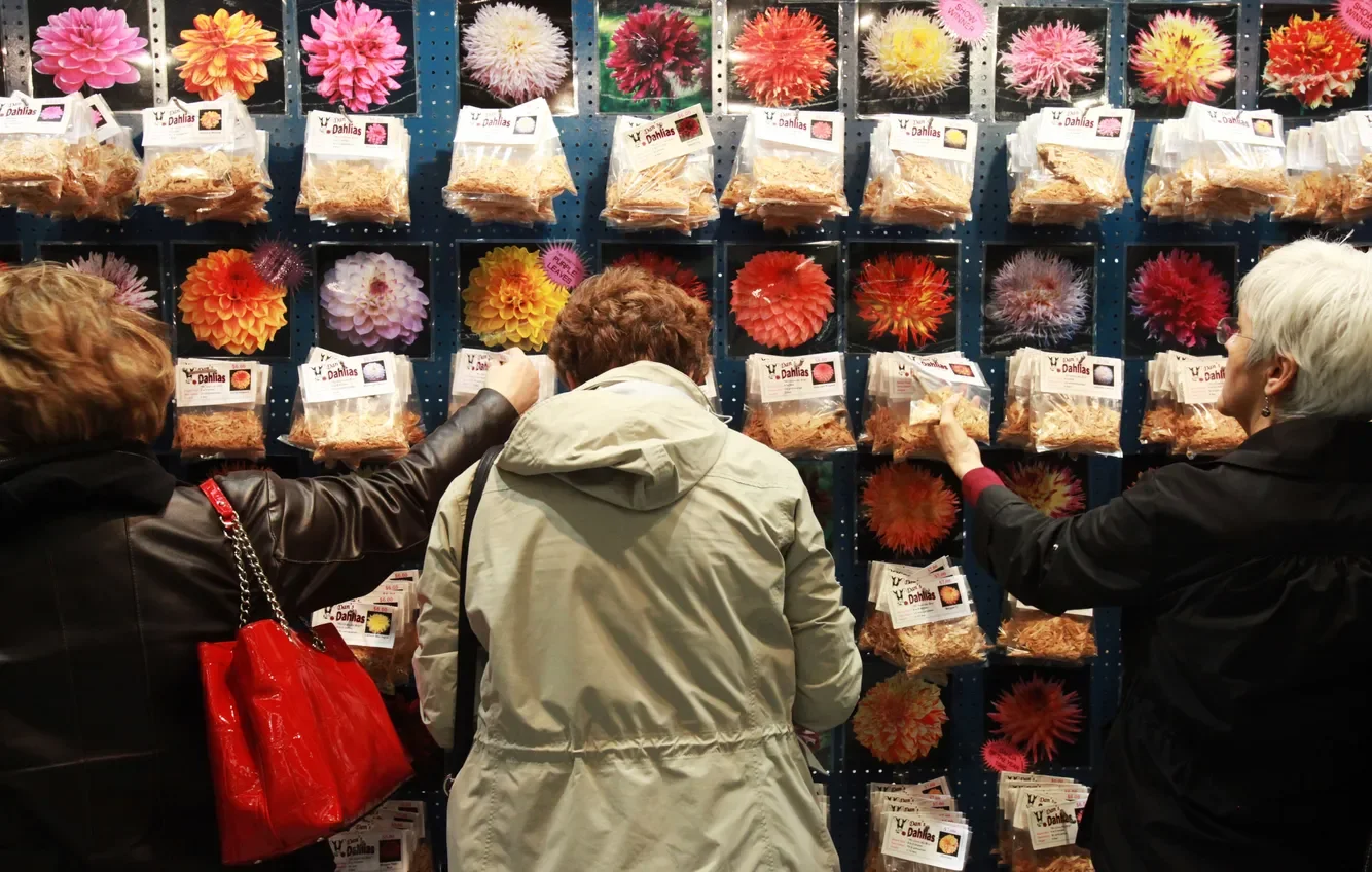 Cover Story, The Seattle Times