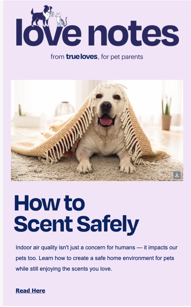 pic of a dog under a rug for a newsletter on how to scent your home safely when you have pets