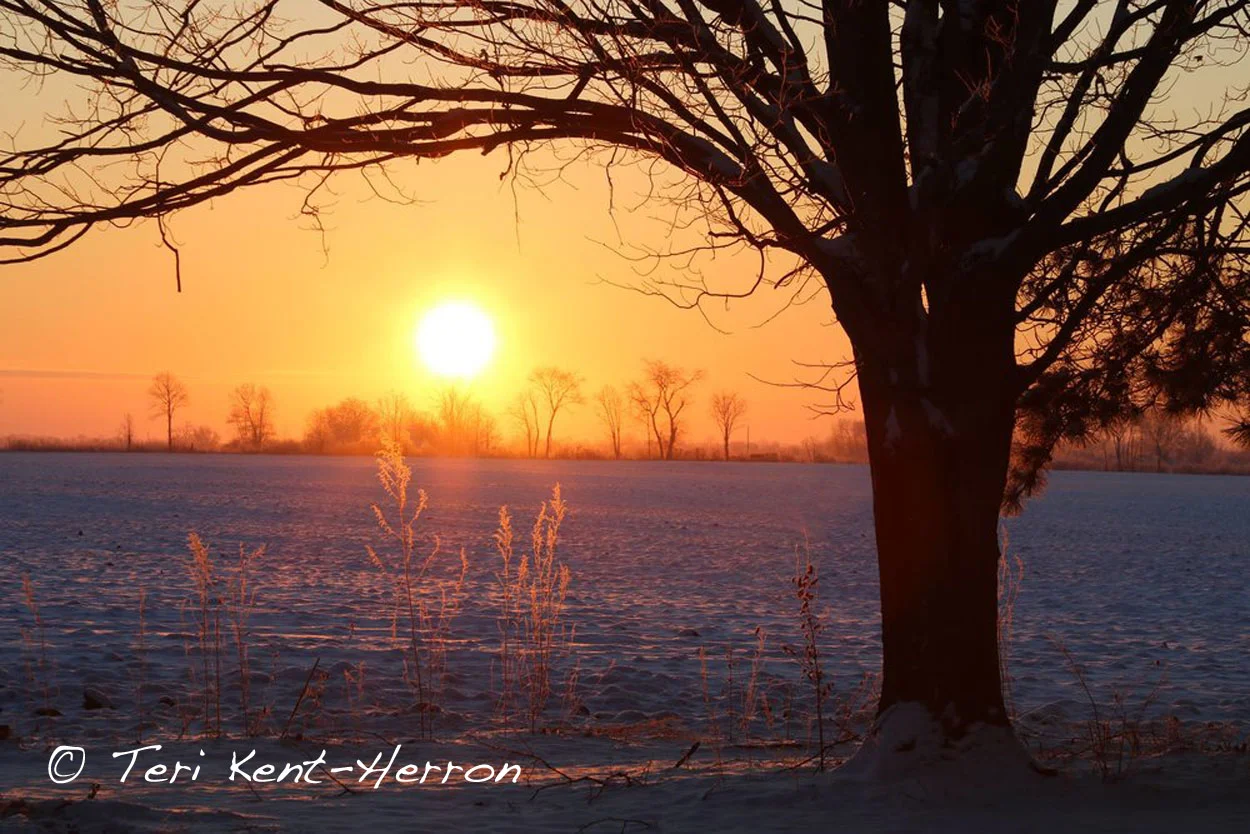 tk sunrise.jpg