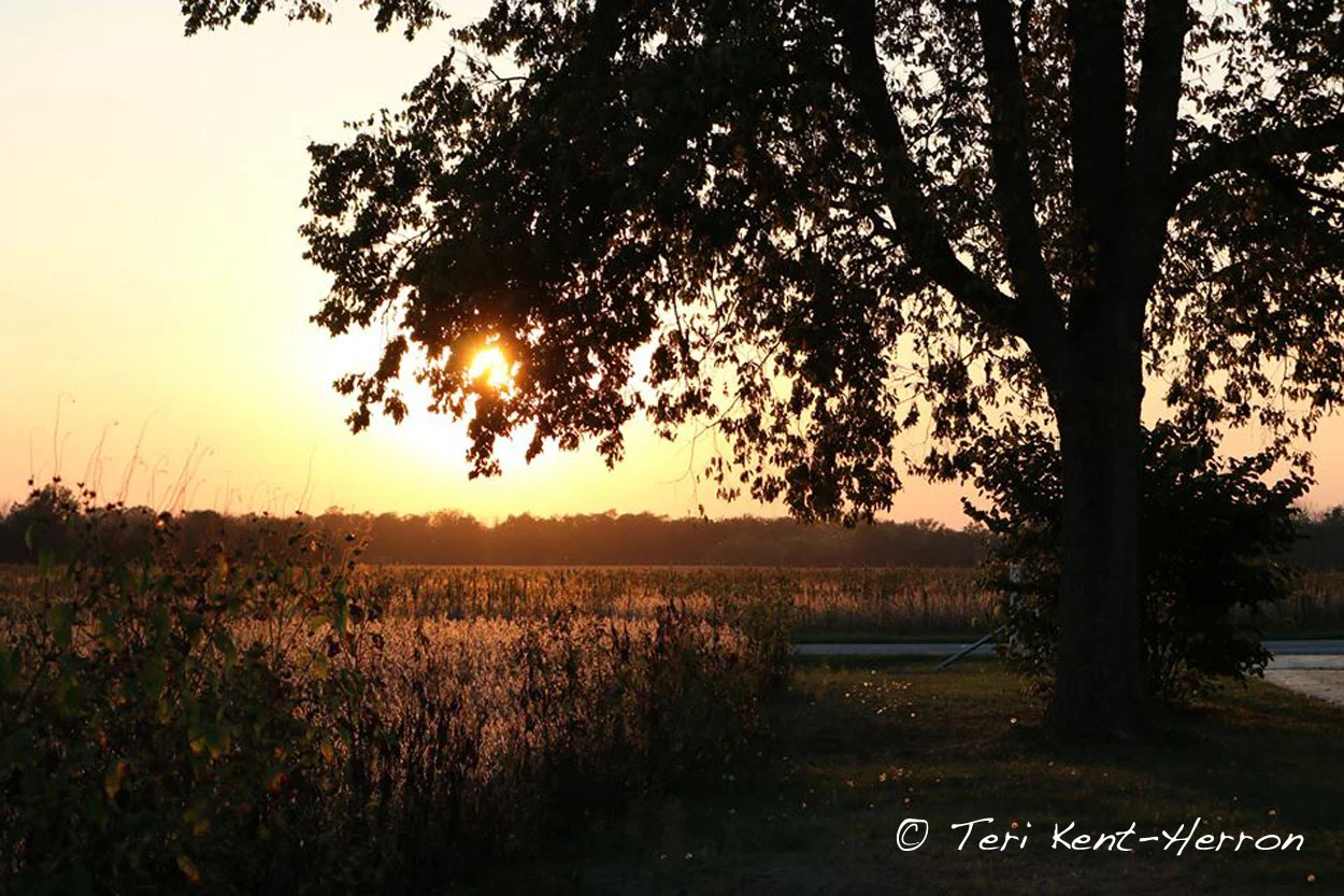 tk sunset.jpg