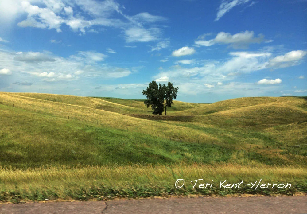 tk mn hills copyright.jpg