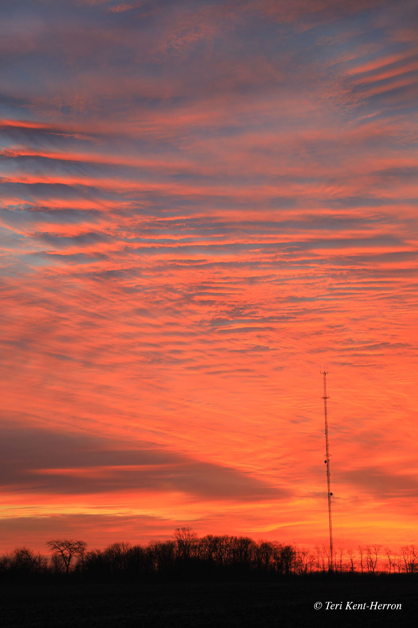 TKent sky11.jpg
