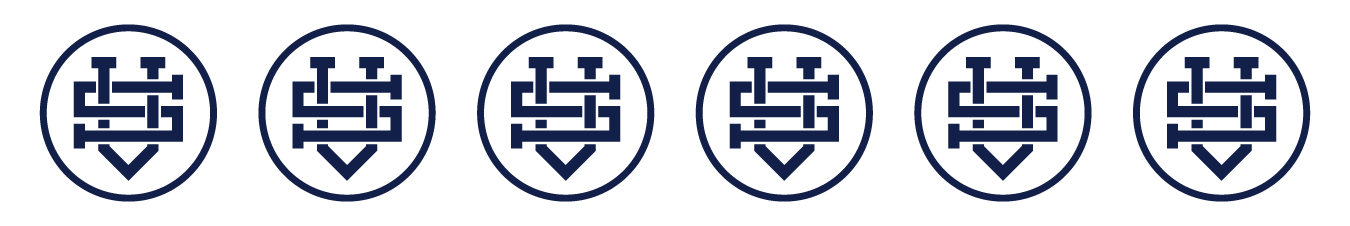 VS-Circle-Garnish-01.png
