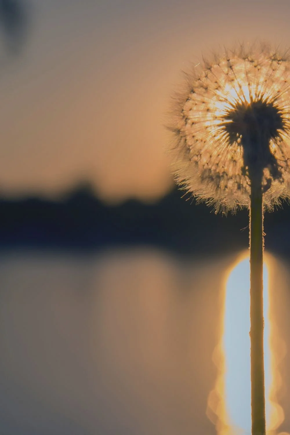 What Can You Be Grateful For?