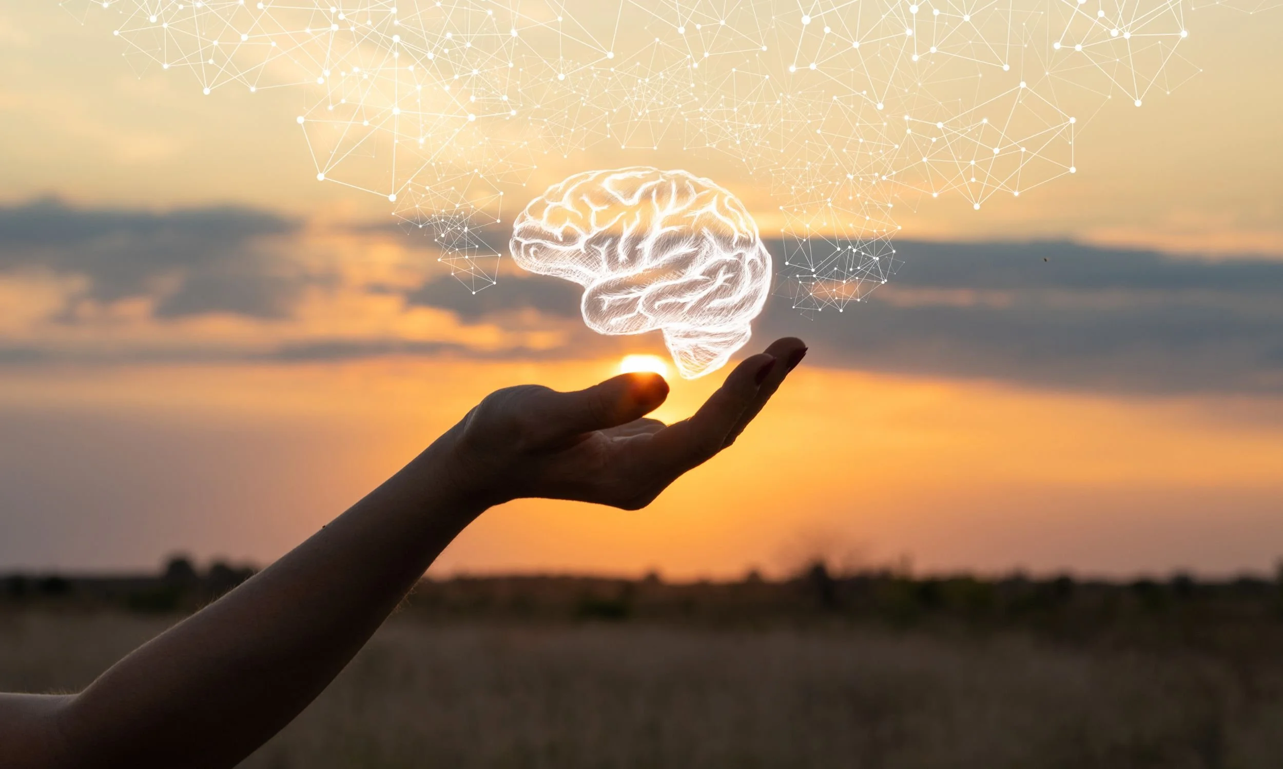 Hand holding a hologram image of a human brain