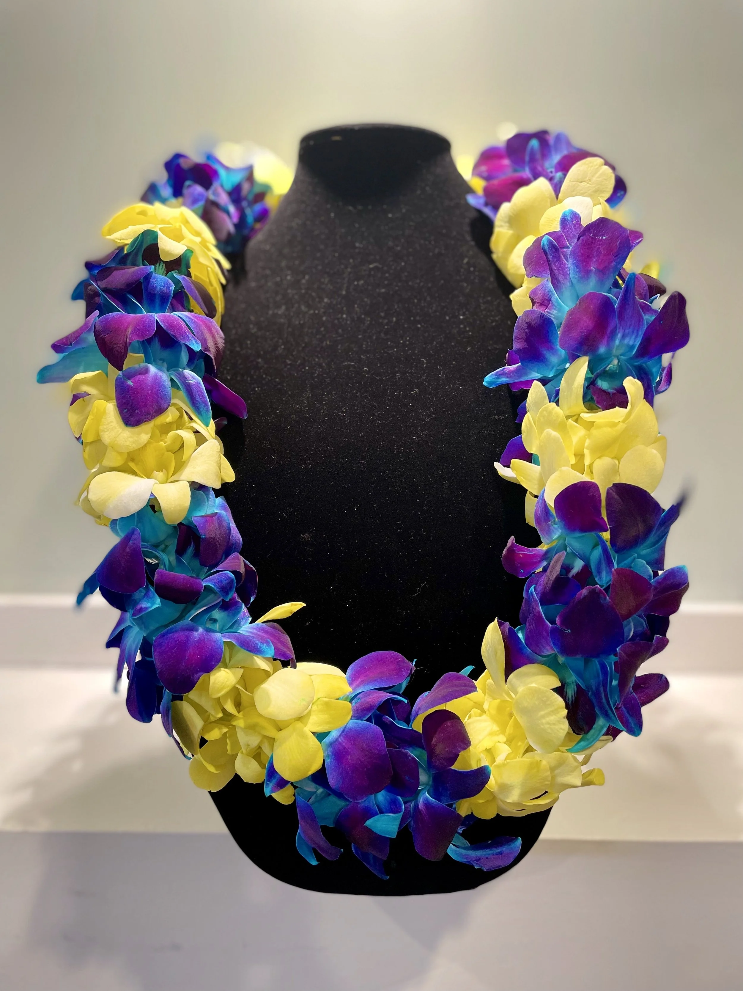 Double Orchid Blue and Yellow