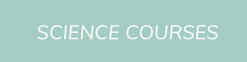 Screen Shot 2019-01-10 at 1.30.03 PM.png