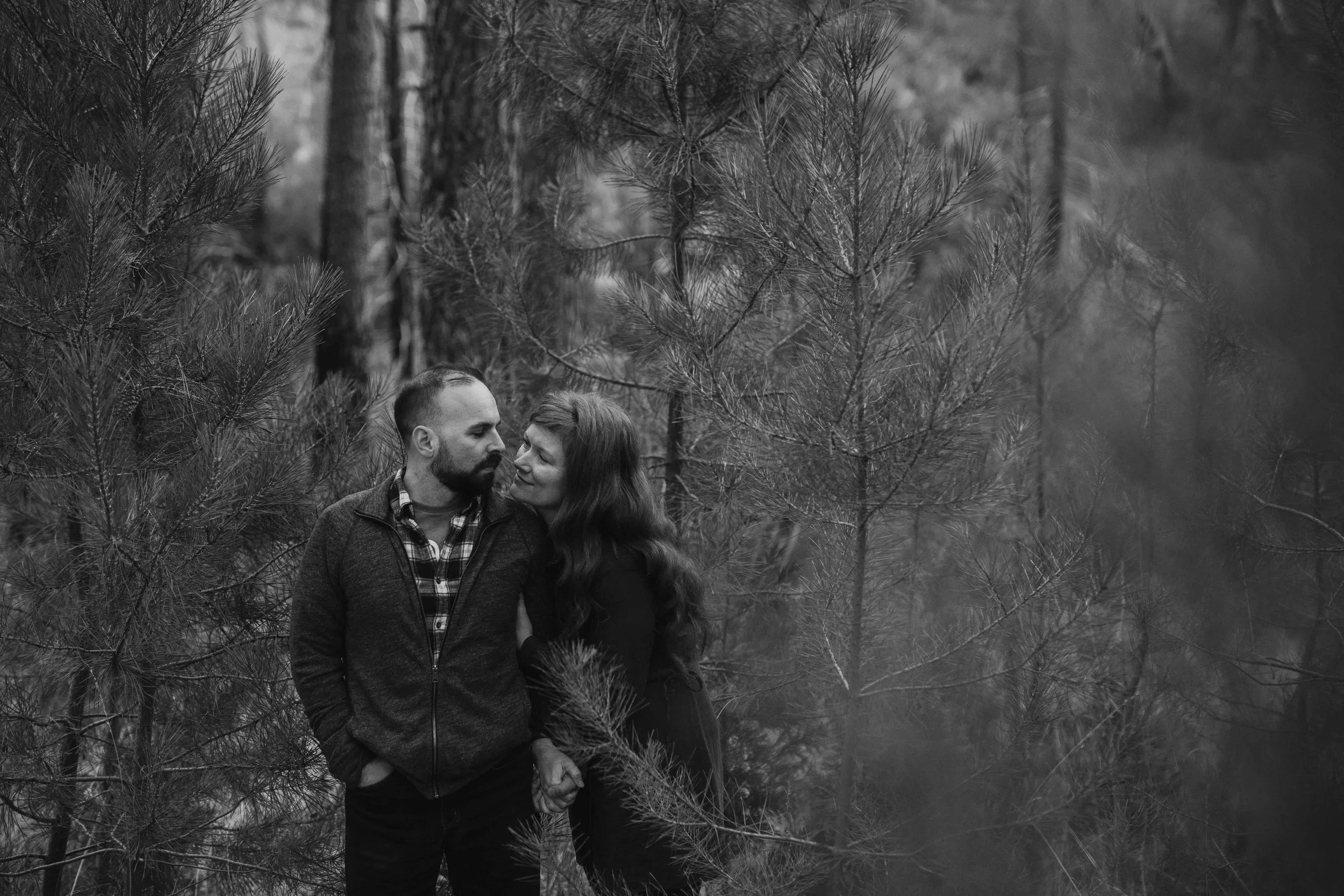 angelescrestforestengagementsession.jpeg