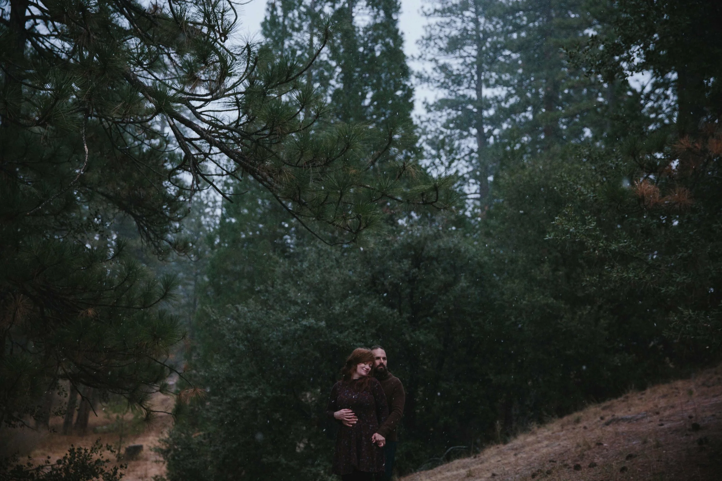 angelescrestforestengagementsession.jpeg