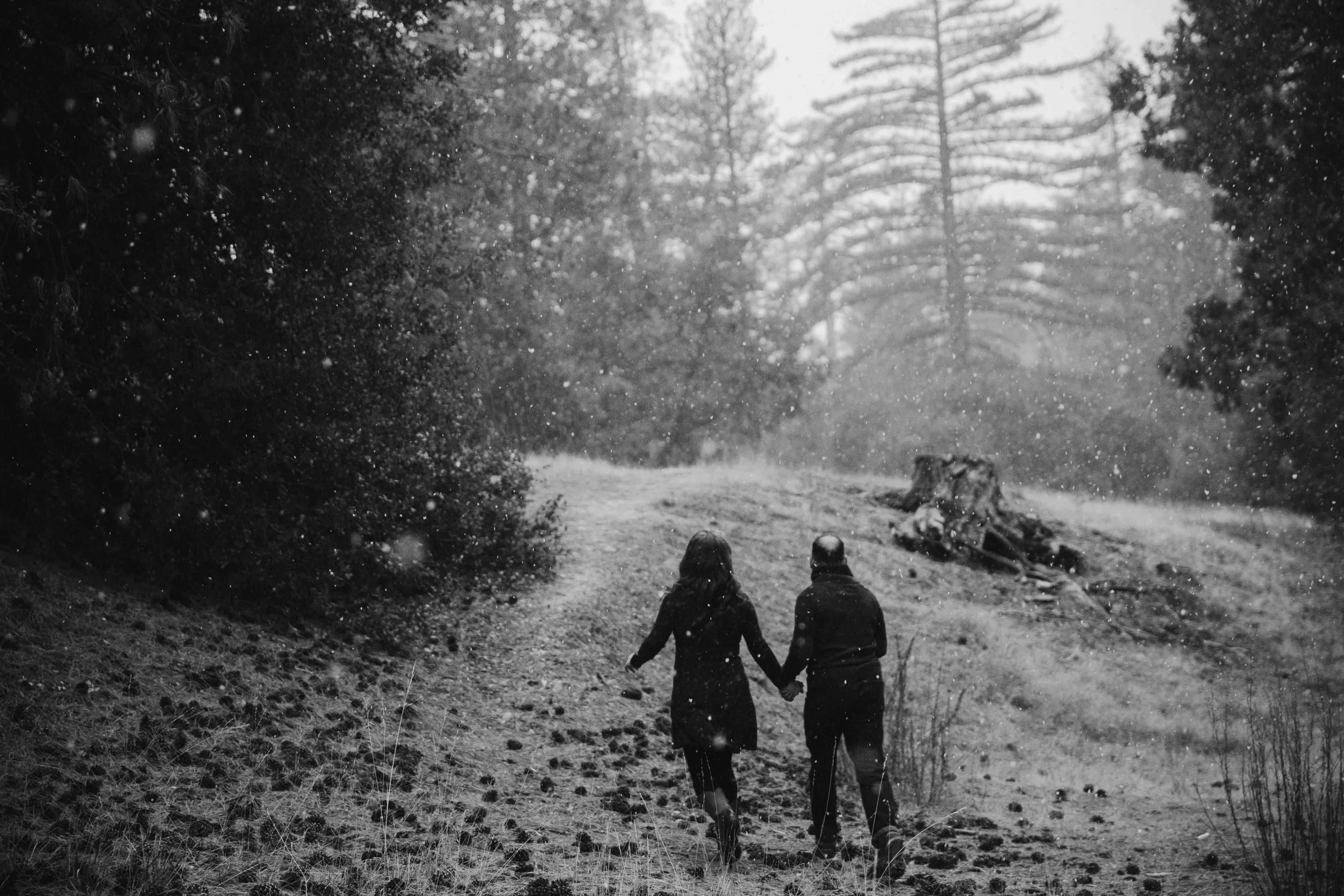 angelescrestforestengagementsession.jpeg