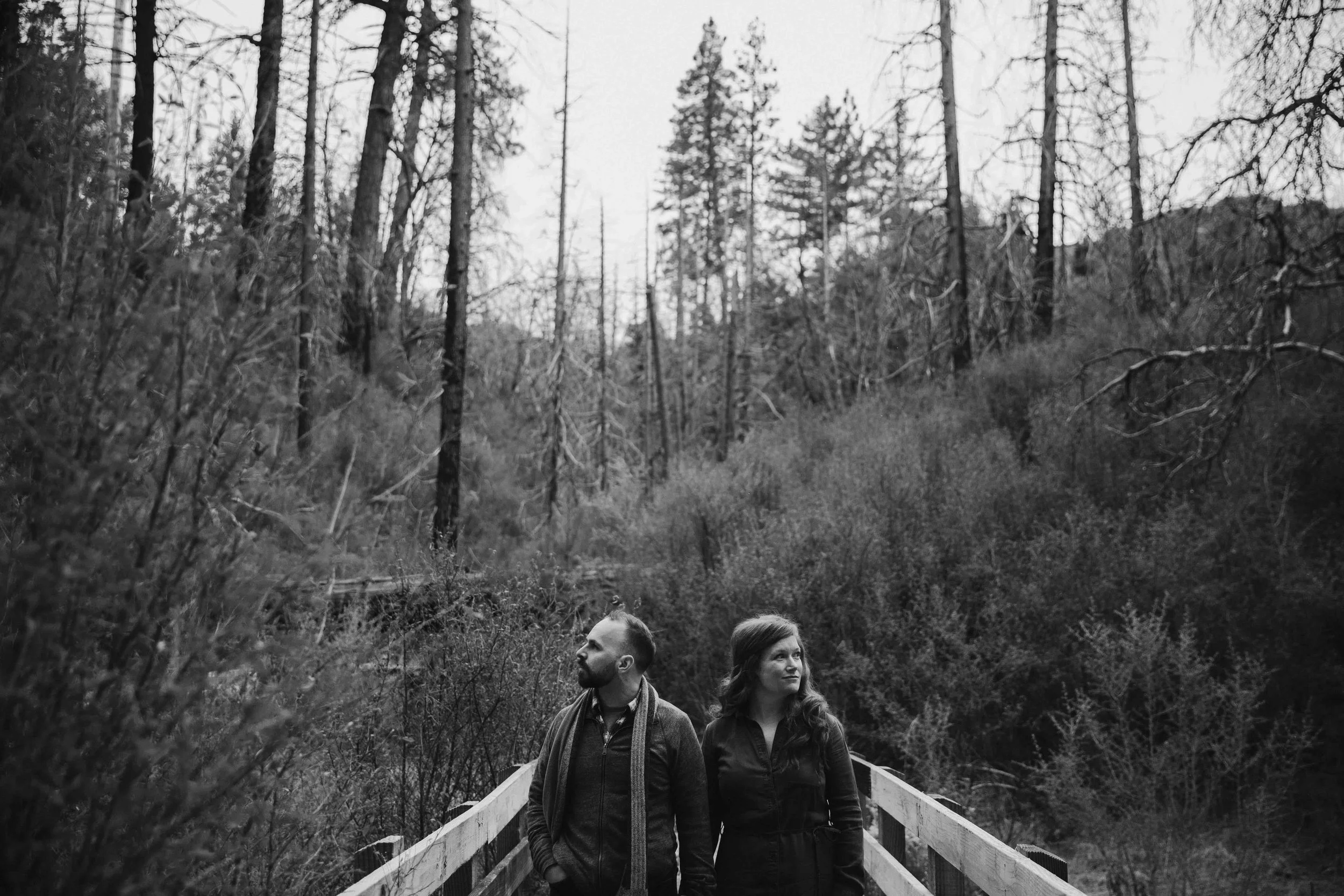 angelescrestforestengagementsession.jpeg