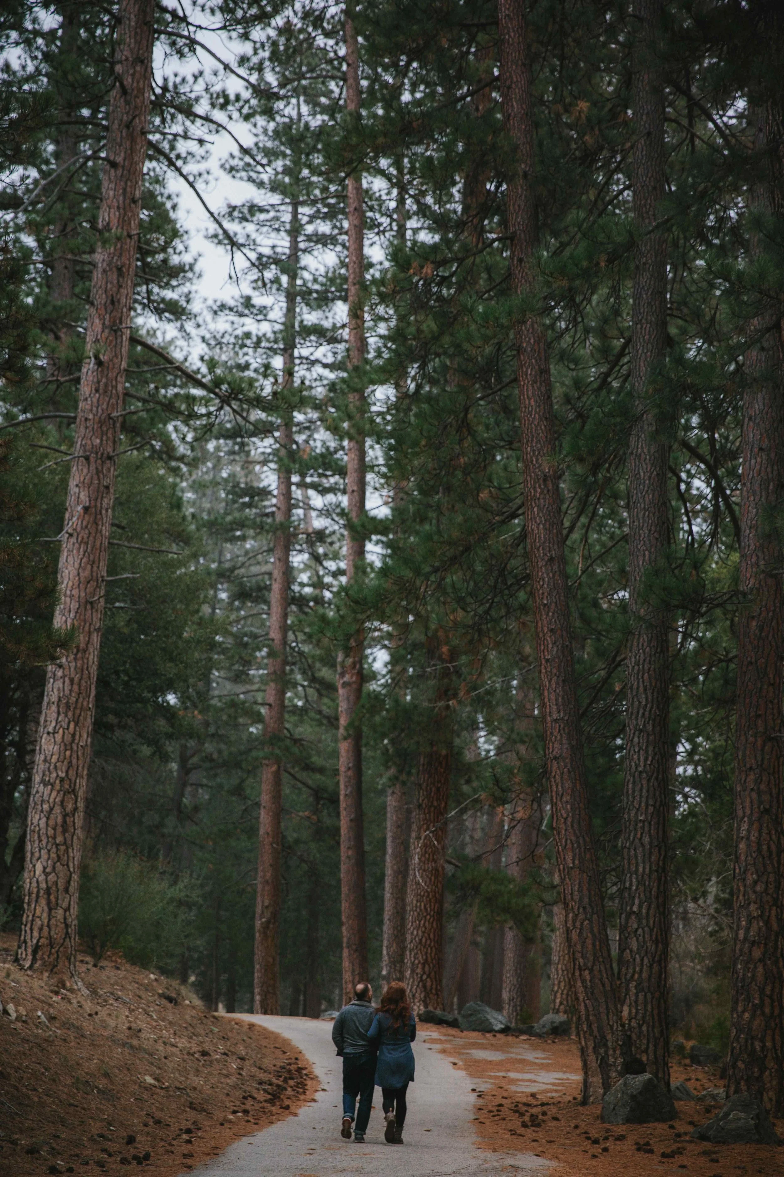 angelescrestforestengagementsession.jpeg
