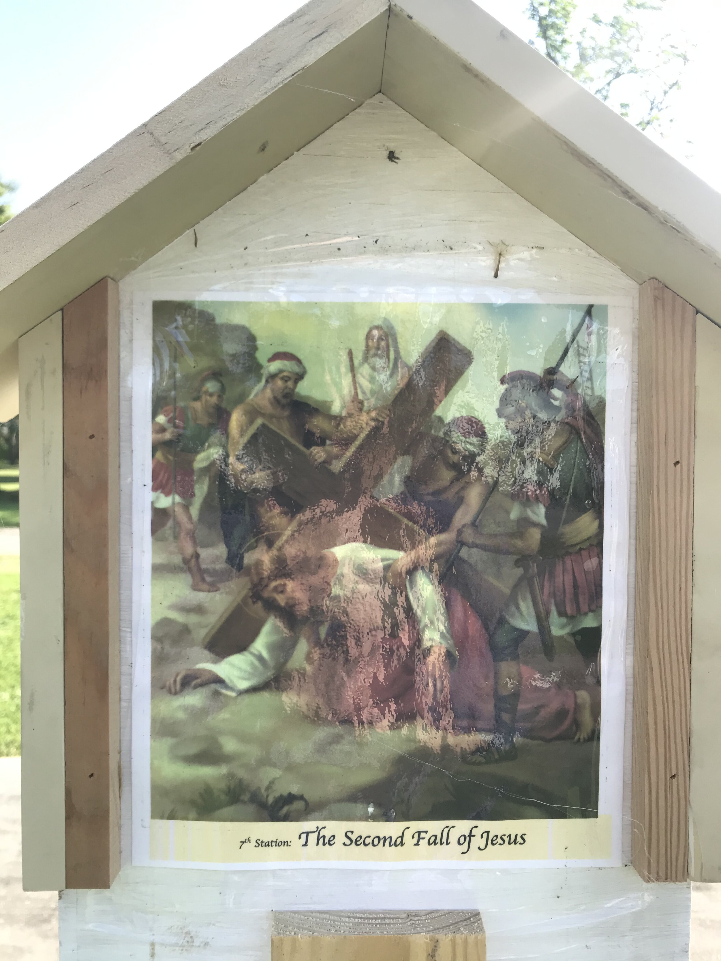 The Way of the Cross — ARNAUDVILLE CATHOLIC