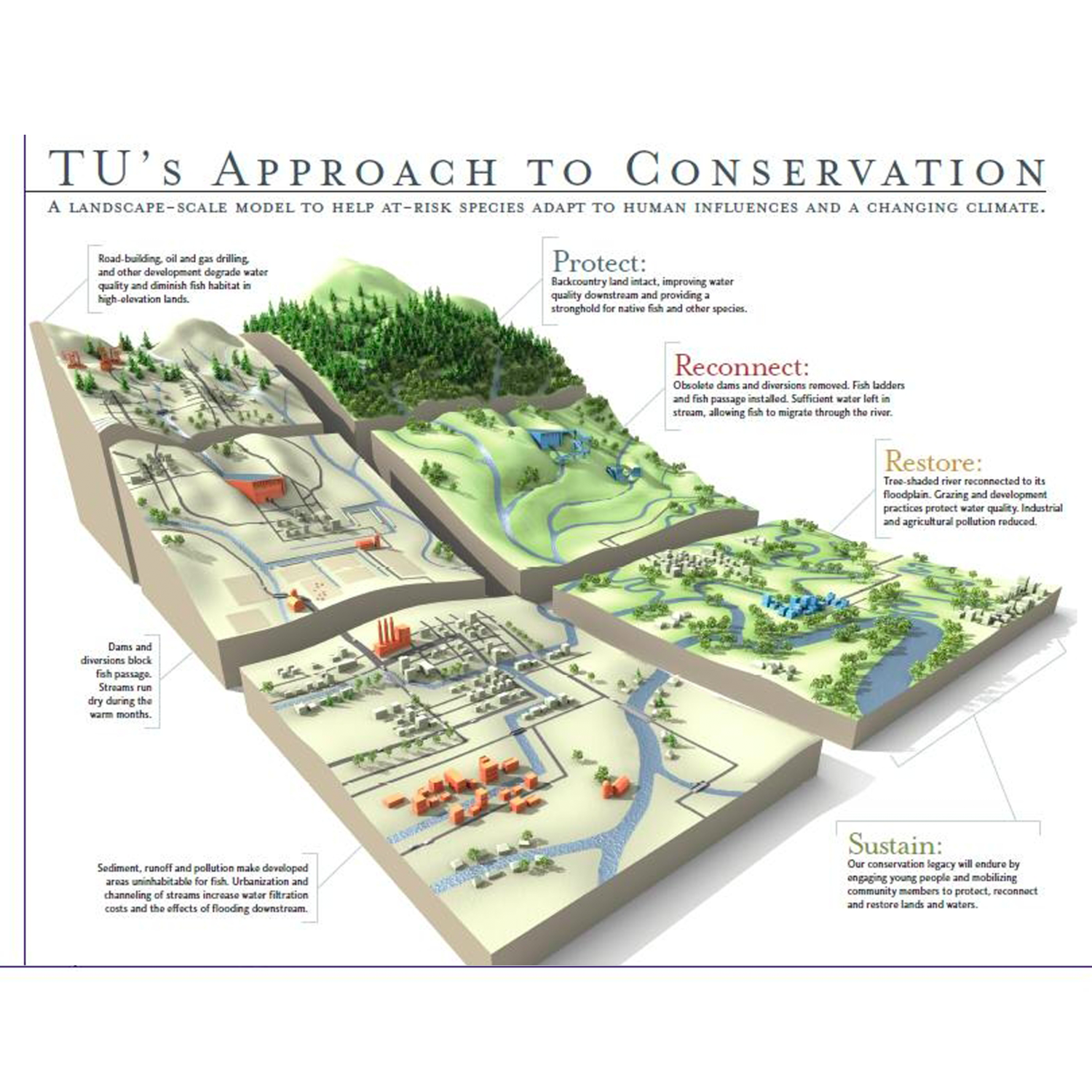 TU_conservation.png
