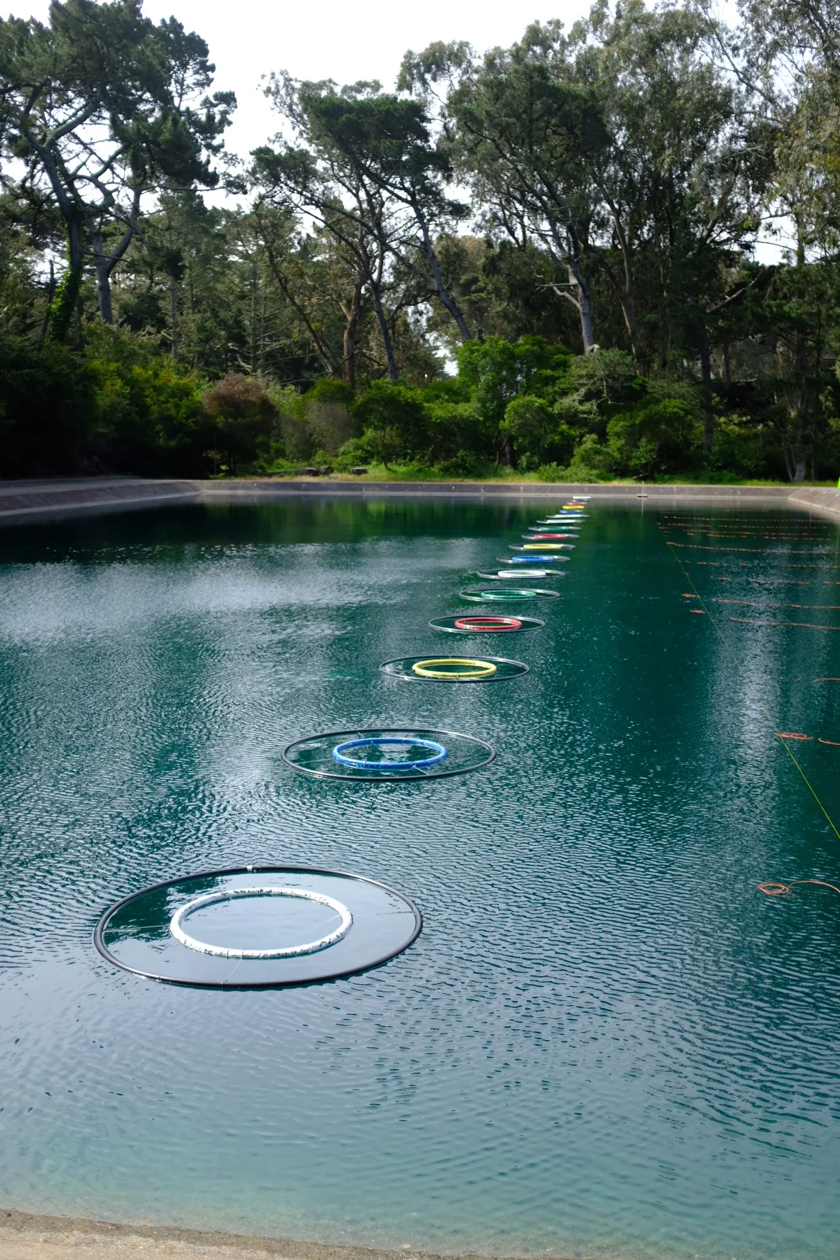 FUN-damentals of Fly Casting, Gear & Knots for Kids