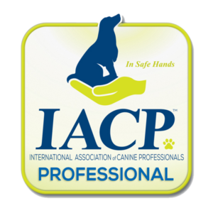 iacpm-professional-logo600x600-web-300x300.png