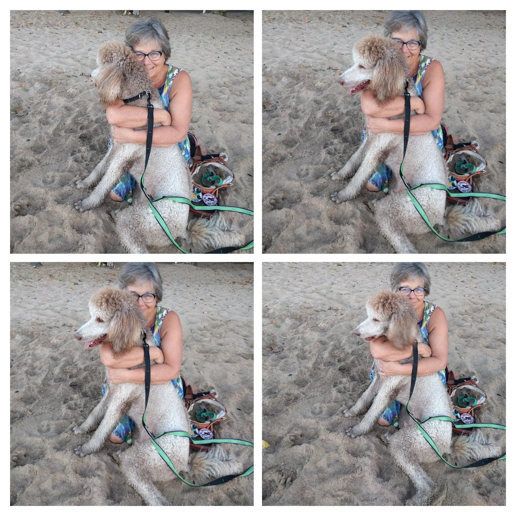 Call Me Disabled, It Is Okay!  By Janie Heinrich, mobilitydog.org