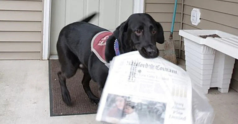 Are You Ready for a Service Dog?                In memory of Guest Blogger Therese Nadeau