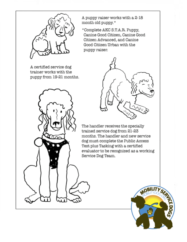 coloring-book-pages_20.png