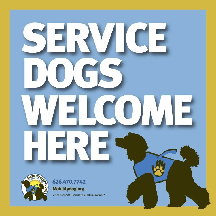 Yellow SD Welcome WindowCling.jpg