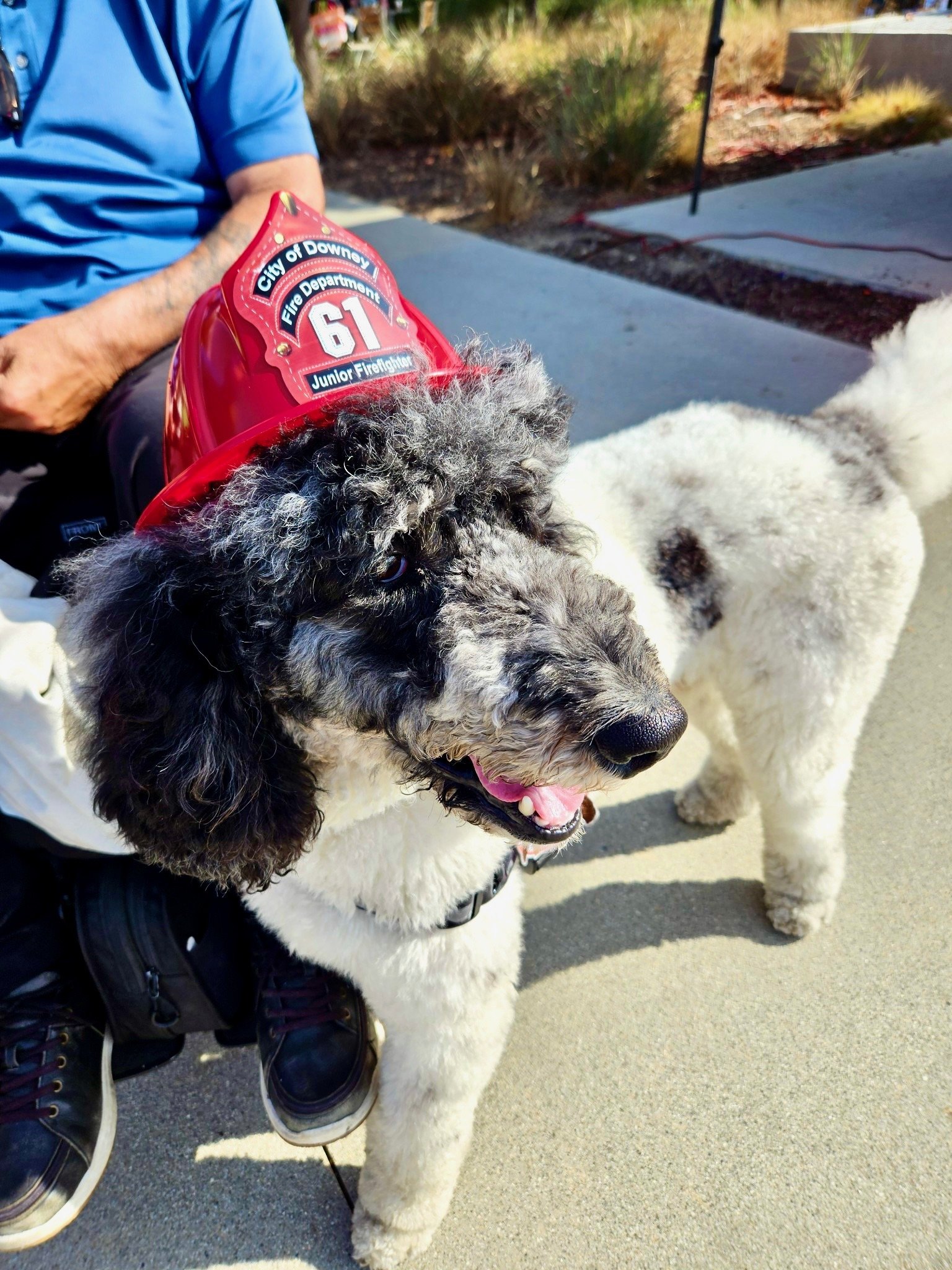 FIREDEPARTMENT SD VITO.jpeg