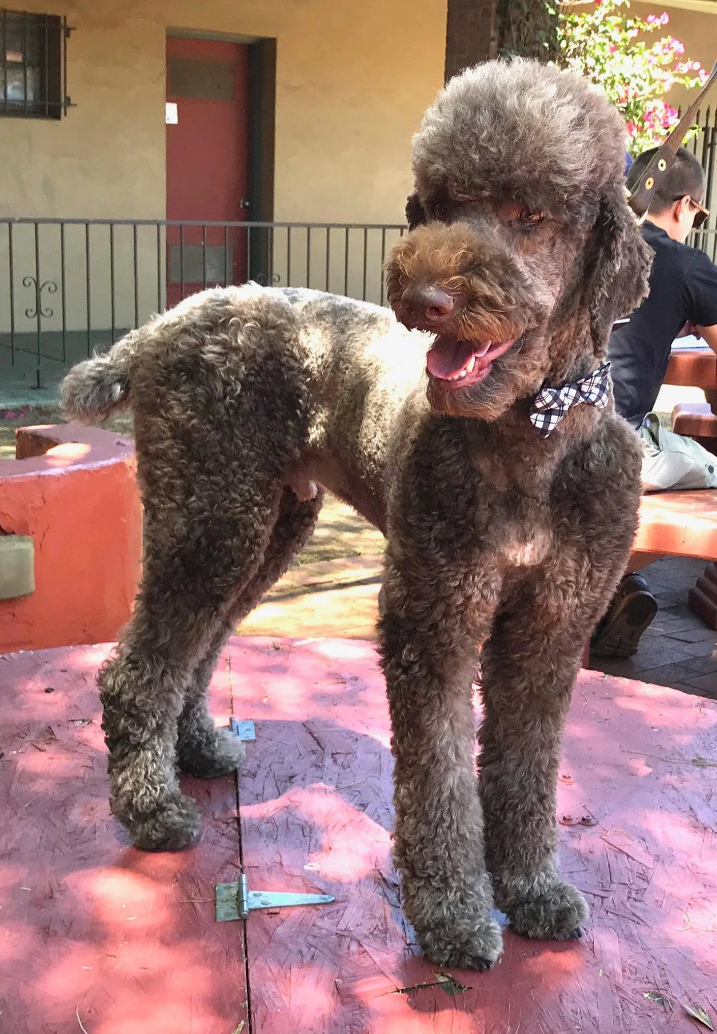 A is for Arthur who is Affectionate.