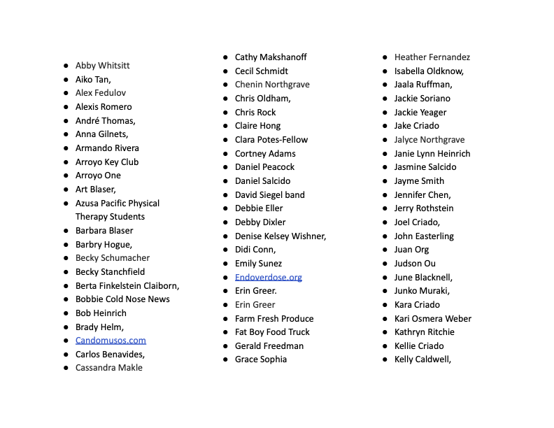 1Volunteers 2025 - Google Docs (dragged).png