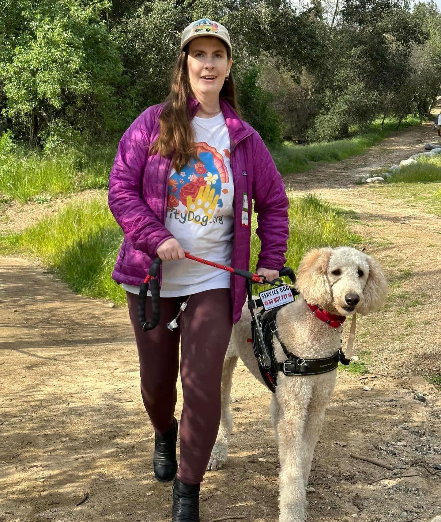 The Logistical, Social and Financial Value of Service Dogs — Mobility