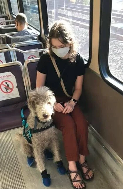 Young Woman Sitting on a Bus with a Service Dog Sitting Next to Her