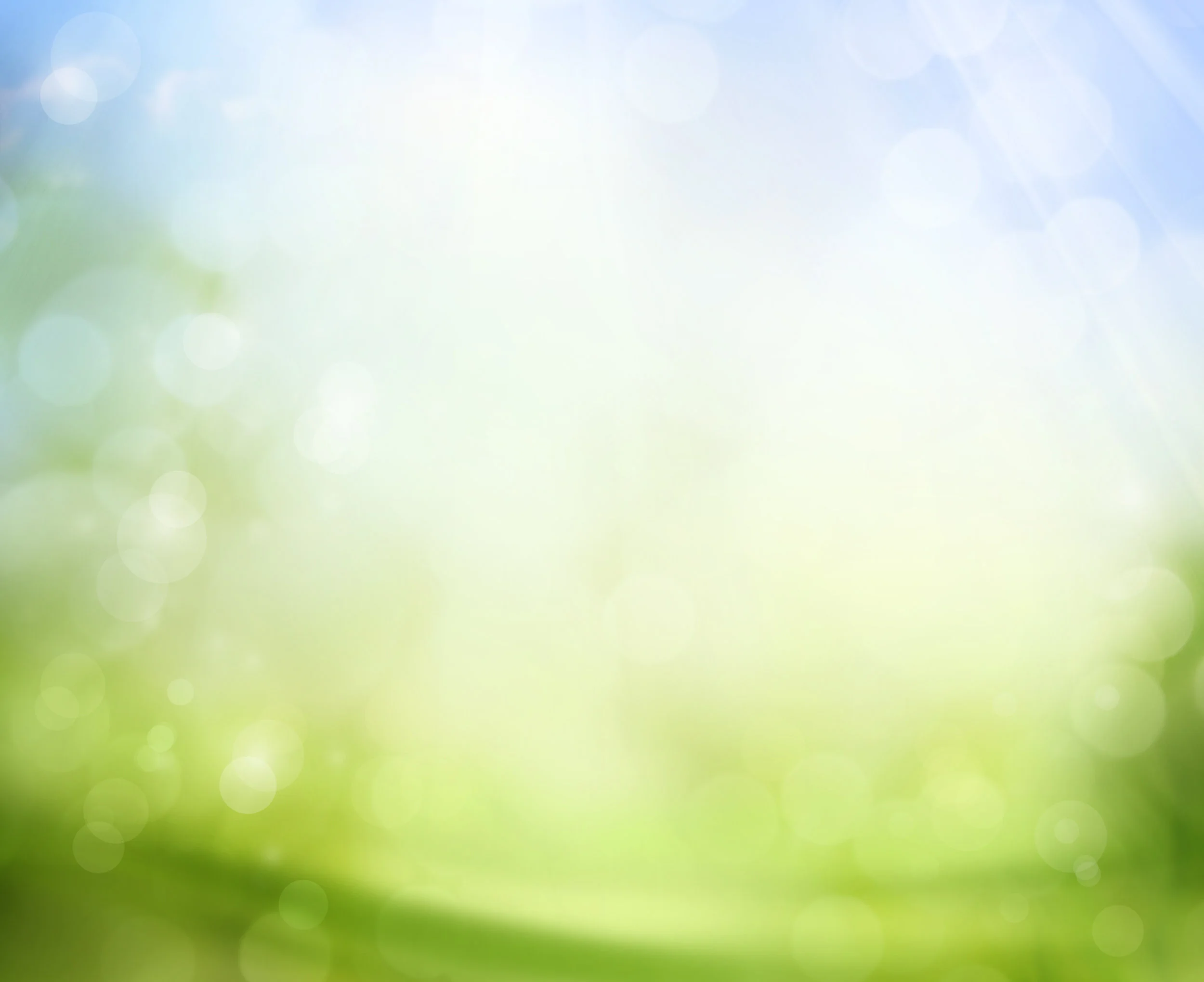 website banner picture.jpg