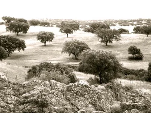 Obras Foundation Residency, Portugal - Arrival!