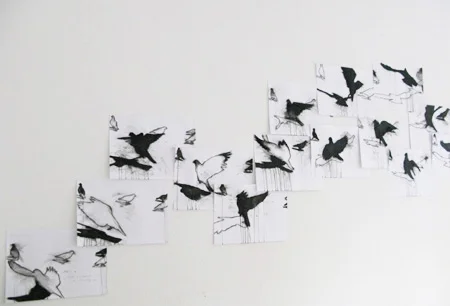 pigeon drawings and video, berlin