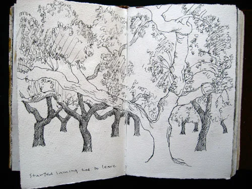 journal trees