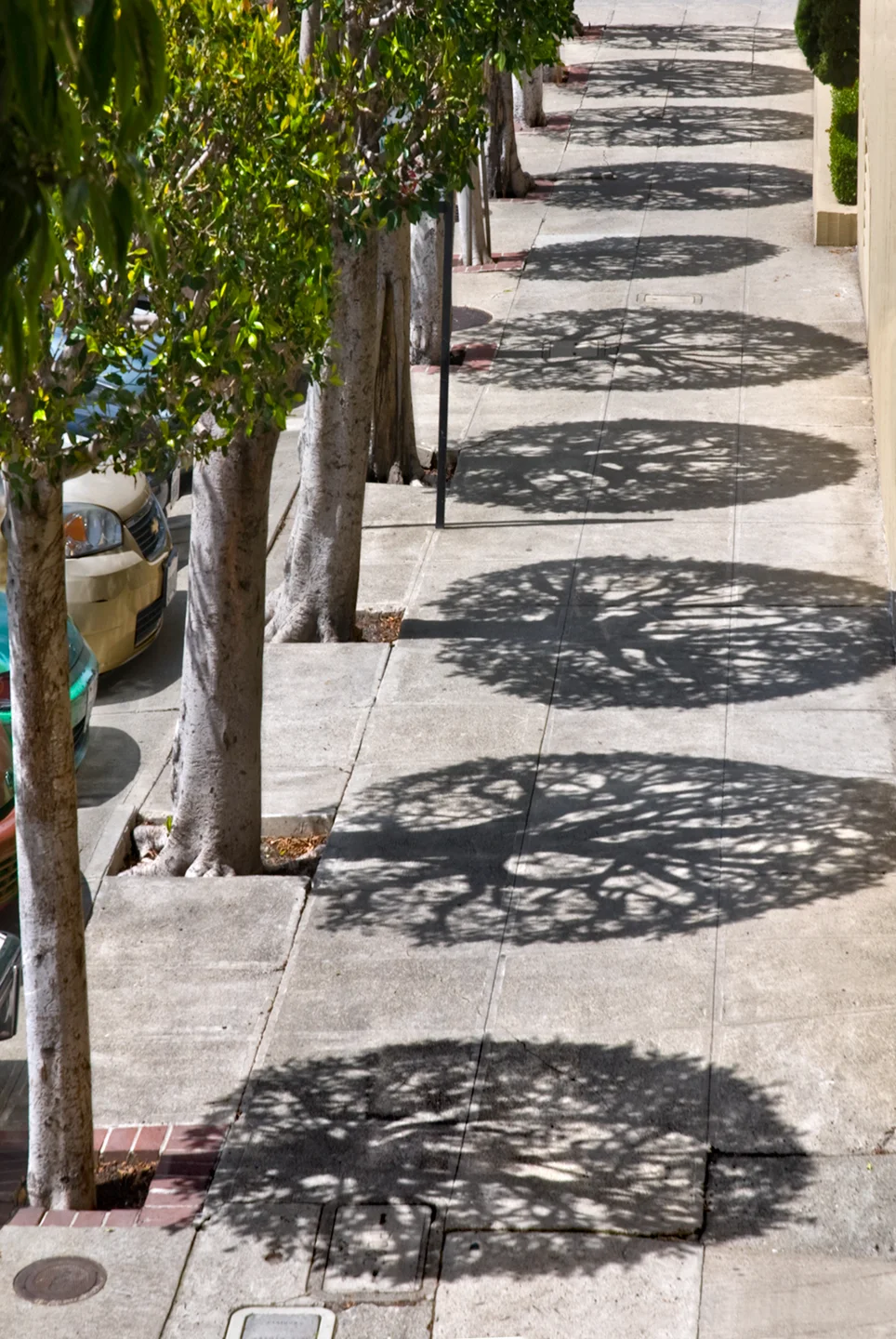 DSC_7760-b.jpg