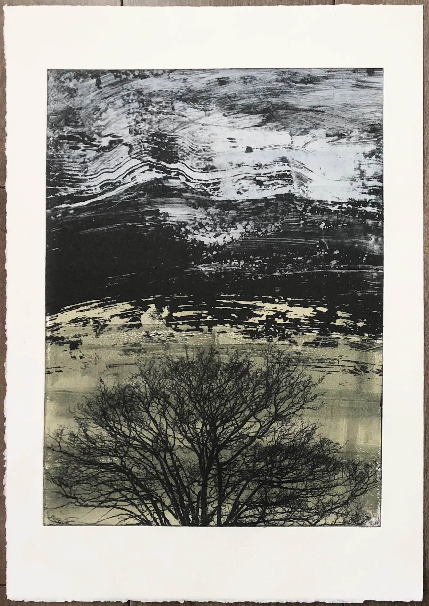 amy clay - lps 2019 4a 1.jpg