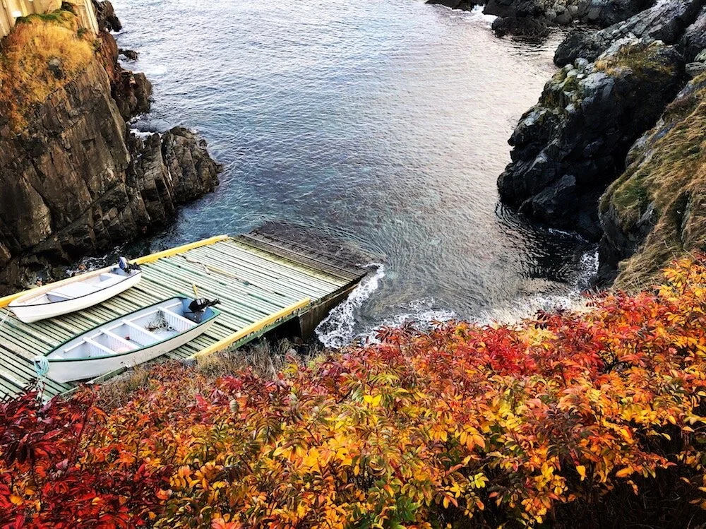 Nov/December 2019 Residency in Newfoundland, CA