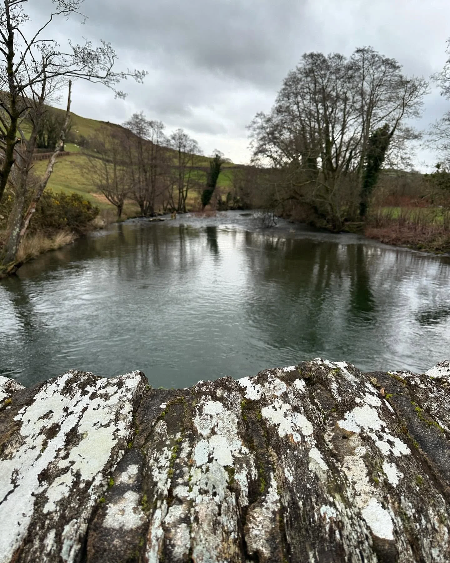 A few walking shots from the past few days. From Corris to Machynlleth to Dolgellau and beyond. The landscape here is so rich in color, texture and history 😊