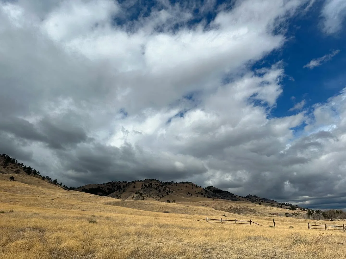 I forgot to add these photos from yesterday when there was some much needed moisture in the air! (Not smoke, just rumbling clouds)