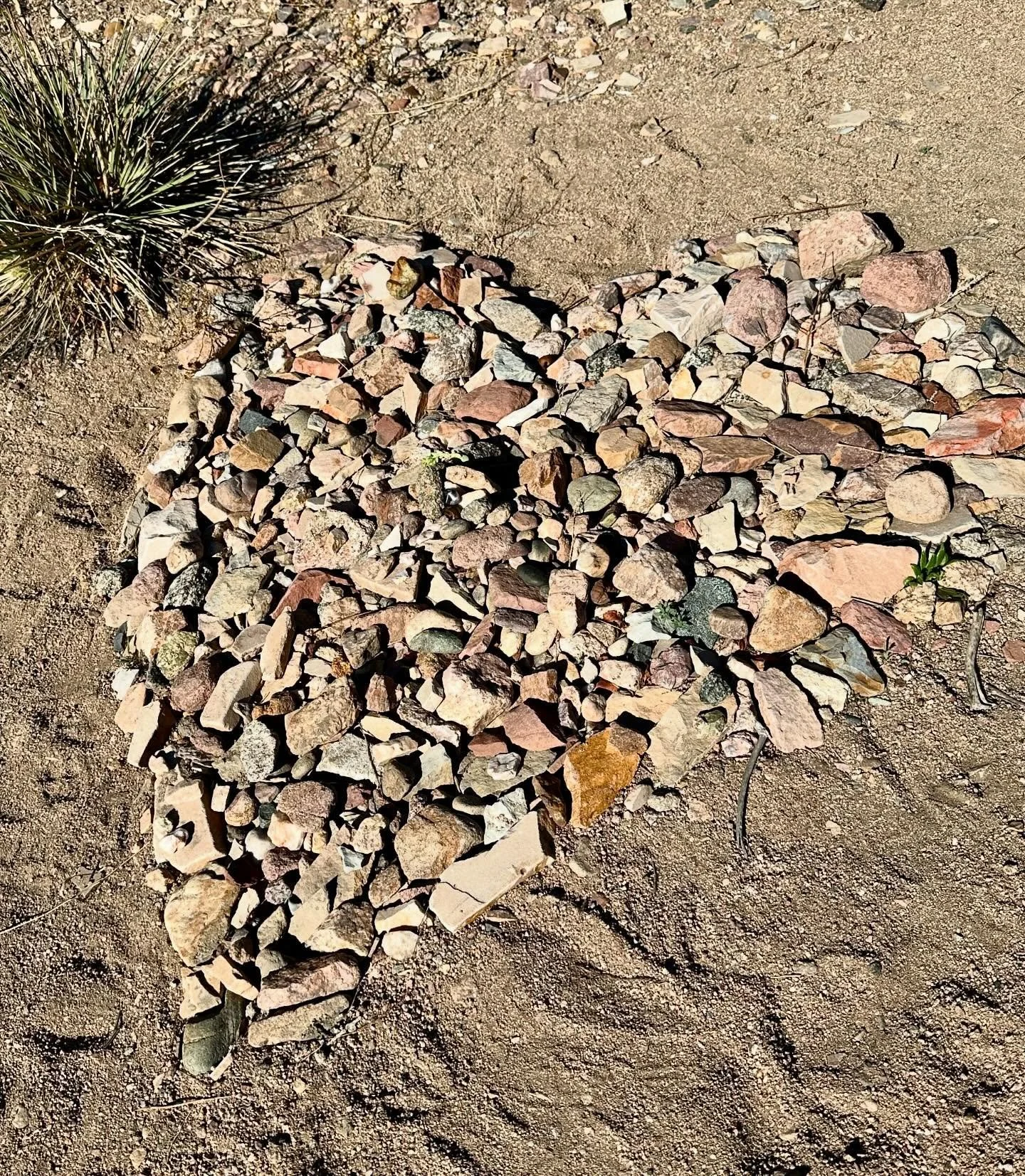 Find love wherever you go 😍❤️