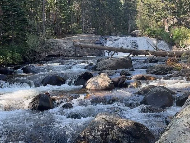 Aaaaaaahhhhhhh&hellip;.cooling off in the mountains! What a gift, and the blessing of cool clean water. Never to be undervalued.