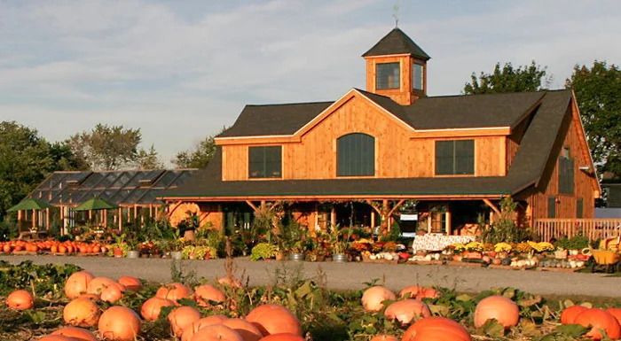 sweet-berry-farm_middletown-ri-26d0c2775056b3a_26d0c458-5056-b3a8-49d78391b5dd92f8.jpg